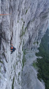 13530415_10209554991413089_1396377262_n