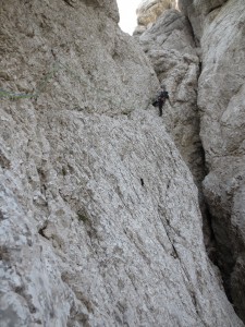 IMG_1110