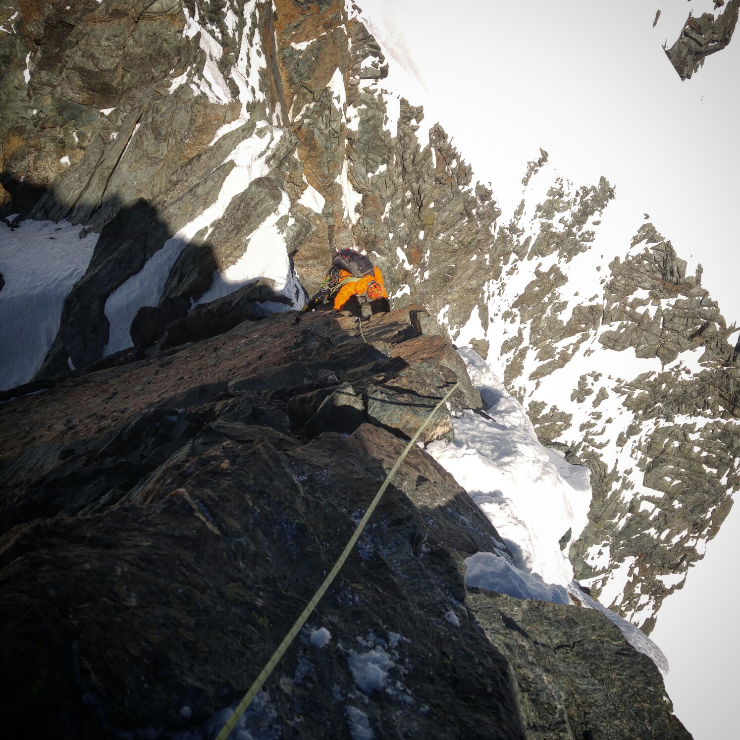 IMG_20170528_104124_220_resized