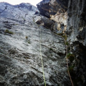 IMG_20170605_165241_636