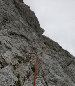 trikot